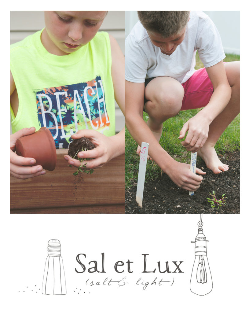 Gardening With Kids (Life Lessons from Dirt and Seeds)